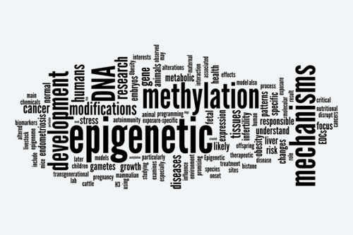 EPIGENETICS: CONTROL YOUR GENES BY SWITCHING THEM ON OR OFF!