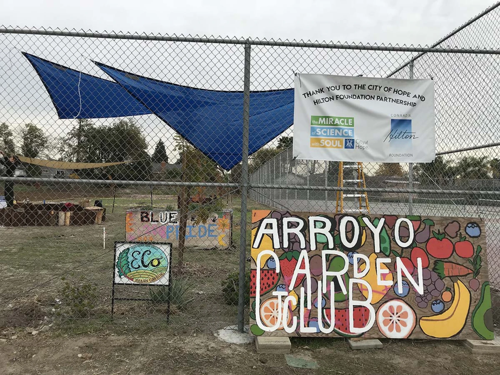 El Monte School Garden Grows Fresh Produce and Healthy Kids